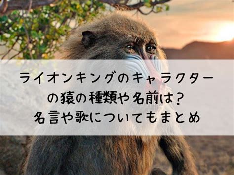 ライオンキング サル 名前|ライオンキングの猿の名前は？種類はマントヒヒ？名。